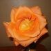 Mary Reiman - Facebook