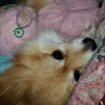 Mary Reising - @gooseygander4 - Instagram