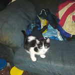 Mary Reisinger - @mary.reisinger.7 - Instagram