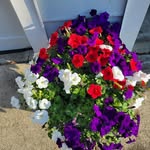 Mary Reisinger - @mary_k_reisinger - Instagram