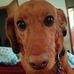 Mary Reisner - Facebook