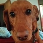 Mary Reisner - @reisner933 - Instagram