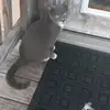 Mary Remillard - @maryremillard4853 - TikTok