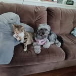 Mary Rende - @416mary - Instagram