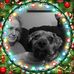 Mary Renfro - Facebook
