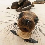 Mary Renwick - @mary.ziggy - Instagram