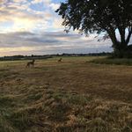 Mary Renwick - @maryrenwick6 - Instagram