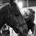 Mary Renwick - Facebook