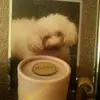 Mary Renwick - @mary.renwick - TikTok