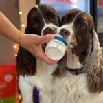 Mary Lou Respess - @marylourespess - Instagram