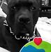 Mary A Rideau - Facebook