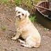 Mary Ridgeway - Facebook