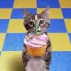 maryriga765 - @maryriga765 - TikTok