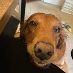 Mary Riker - @mary_smith_riker - Instagram