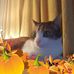 Mary Riker - Facebook