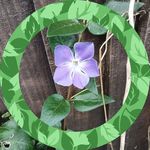 Mary Ring - @ringmary123 - Instagram