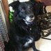 Mary Ringler - Facebook