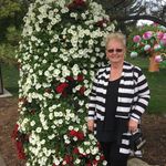 Mary Ringler - @ringler66 - Instagram