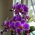 Mary Rio - Facebook