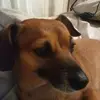 Mary Ripoll - @mary.ripoll8 - TikTok
