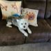 Mary Rishel - Facebook