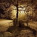 Mary Risher - Facebook