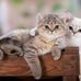 Mary Risko Online 13188 - Facebook
