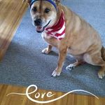 Mary Rison - @rison8247 - Instagram