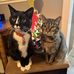Mary Shada Rivett - Facebook