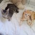 Mary Riviere - Facebook
