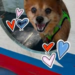 Mary Robinson Dye - @maryrobinsondye - Instagram