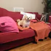 Mary Rodwell285 - @maryrodwell285 - TikTok