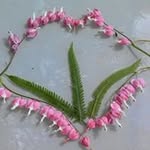 Mary Roffers - @maryroffers - Instagram