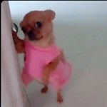 @_mary_rogers - Instagram
