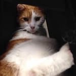 Mary Rogerson - @portia74 - Instagram