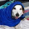 Mary_Rogerson - @Mary_Rogerson - TikTok
