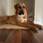 Mary Beth Rohrer - @mb_rohrer - Instagram