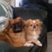 Mary Rolston - Facebook