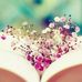 Mary Rom - Facebook