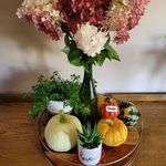 Mary Ellen Ropp - @maryellenropp - Instagram