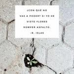 María Roselló Torres - @maryrosellot - Instagram