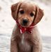 Rosemary Rothe - Facebook