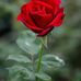 Mary Rox - Facebook