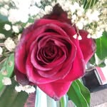 Mary Roybal - @mary.roybal.52 - Instagram