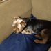 Mary Roybal - Facebook
