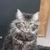 Mary Roybal - @mary.roybal3 - TikTok