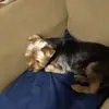 Mary Roybal - @mary.roybal34 - TikTok