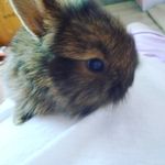 Rozalia Kubajka - @maryrozalia - Instagram