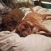 Mary Rozanski - Facebook