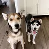 Mainlythebabies - @mariarummagee - TikTok